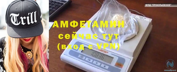 индика Верхний Тагил