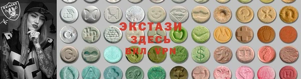 индика Верхний Тагил