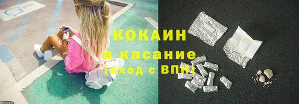 индика Верхний Тагил