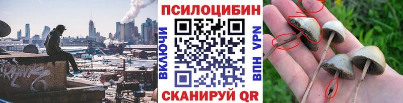 Псилоцибиновые грибы MAGIC MUSHROOMS  Ивангород 