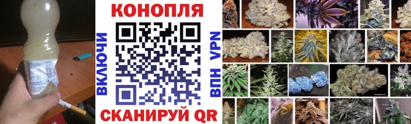 мега как войти  Ивангород  Конопля индика  цены наркотик 